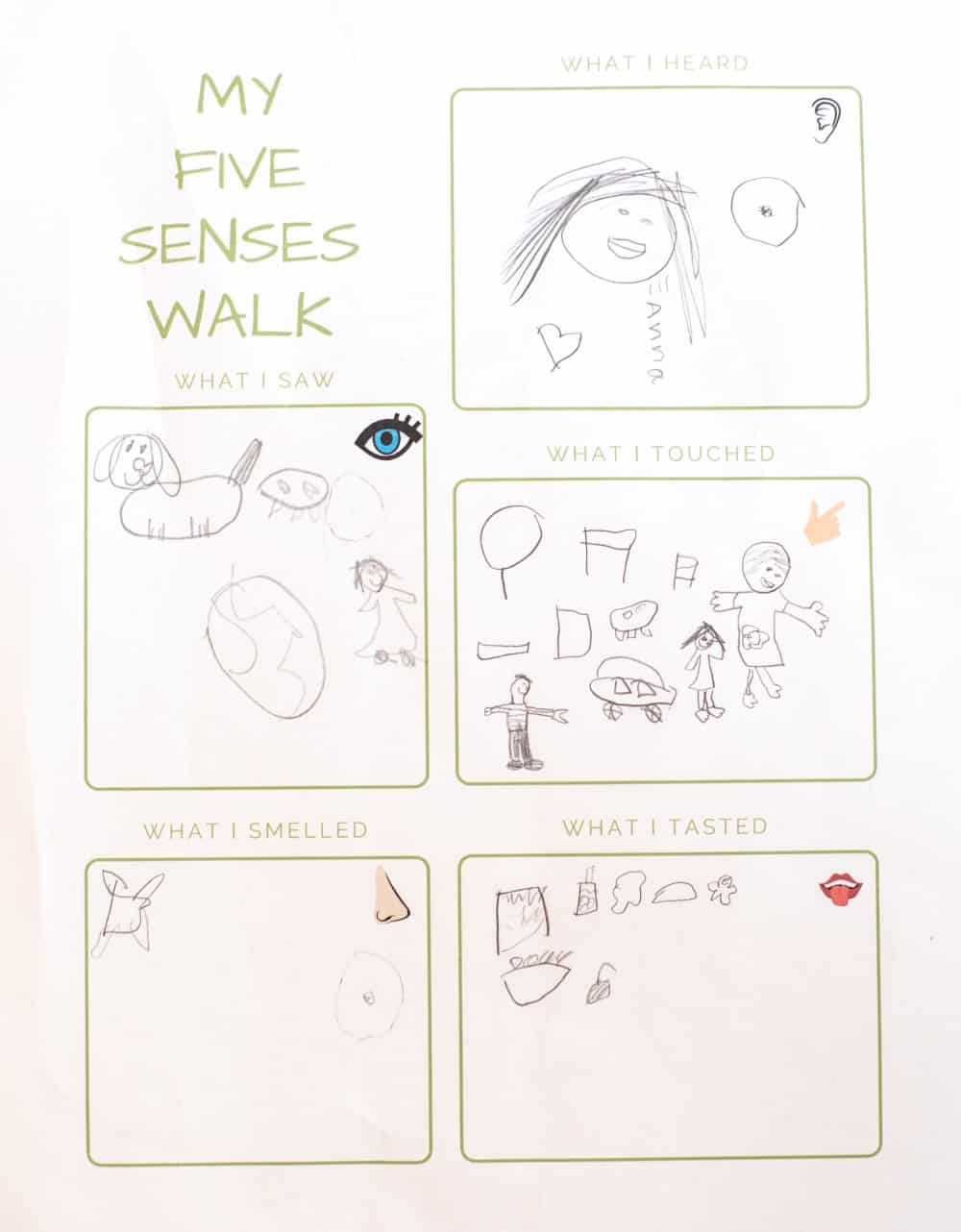 A five senses walk learning activity for kindergarten.